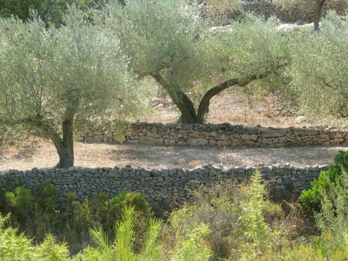 Casa Almendra Villa El Perelló Kültér fotó
